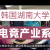 韩国湖南大学 电竞产业系_游戏热门视频