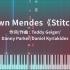 【钢琴改编】Shawn Mendes - Stitches