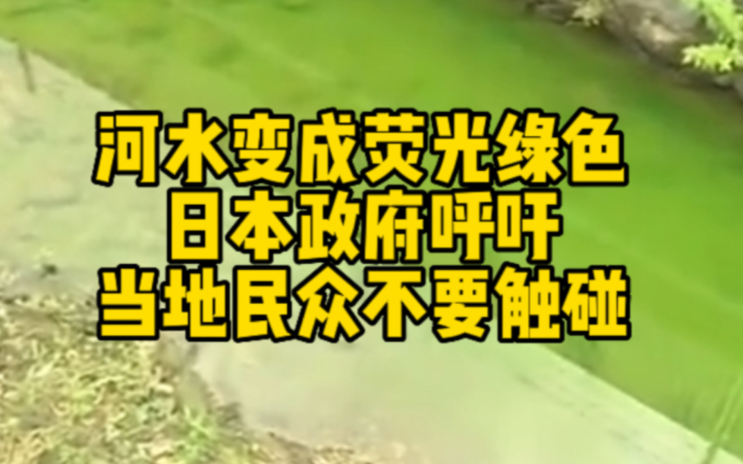 日本一地河水颜色变绿 当地政府呼吁民众不要触碰
