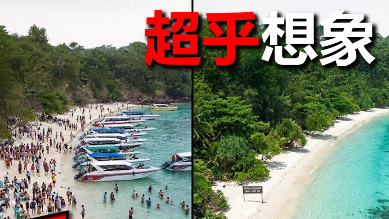 沙滩关了4年，回来的东西超乎想象