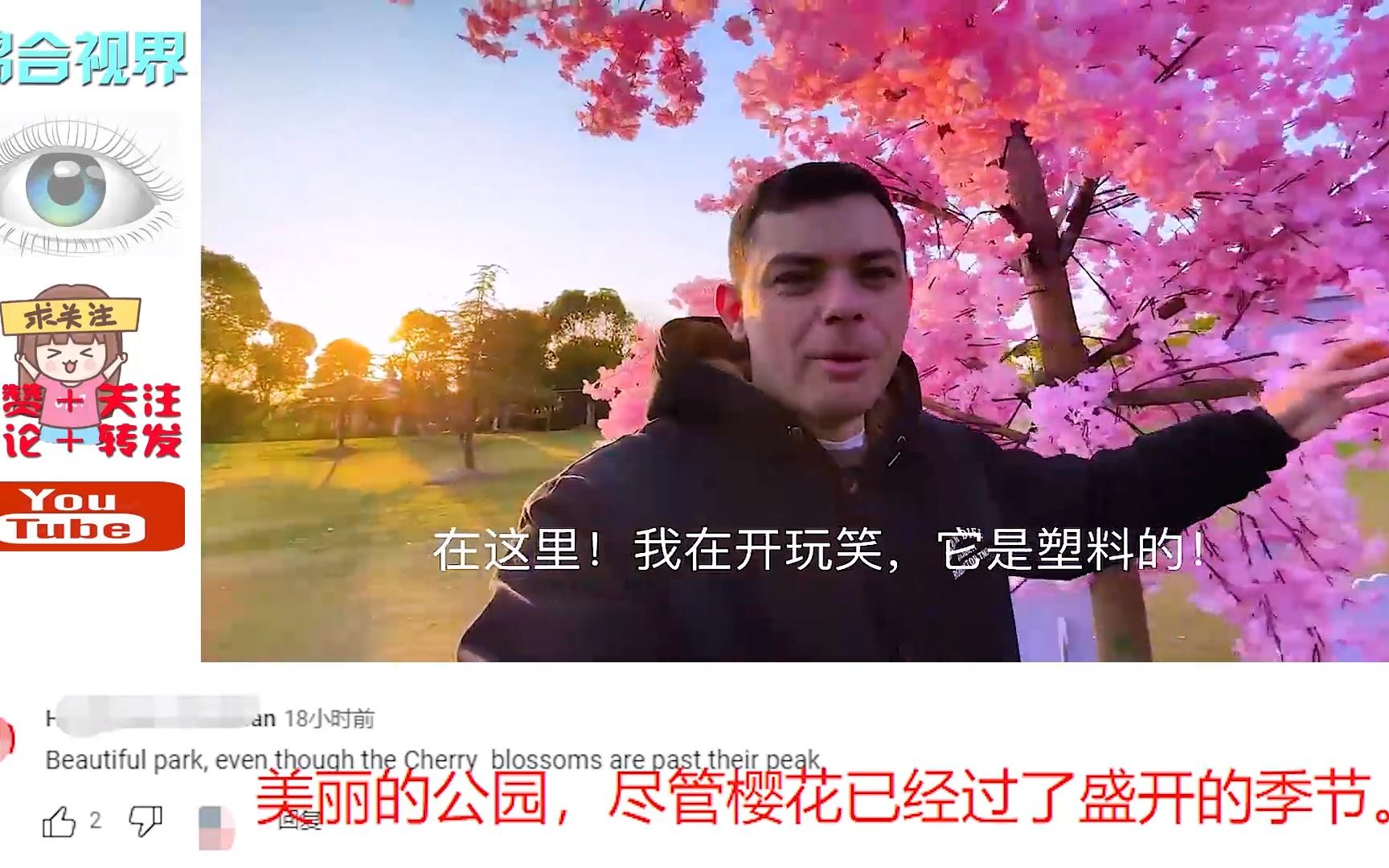 外国博主拍摄上海公园塑料樱花，印度网友兴奋：花也使用模型吗？