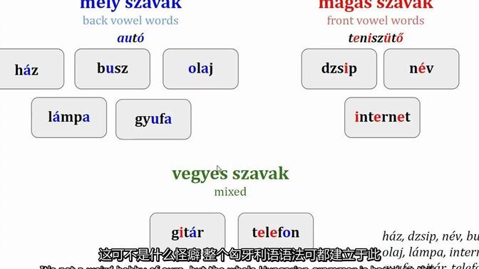 Speak Hungarian with Angie【第一课】匈牙利语元音和谐律