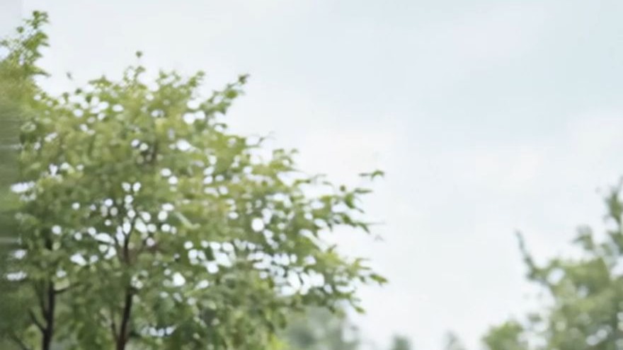 早上天气棒，炼气期小师妹也学习哦啊啊舞蹈