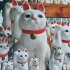 缘起豪德寺 日本元祖招财猫有很多说法！
