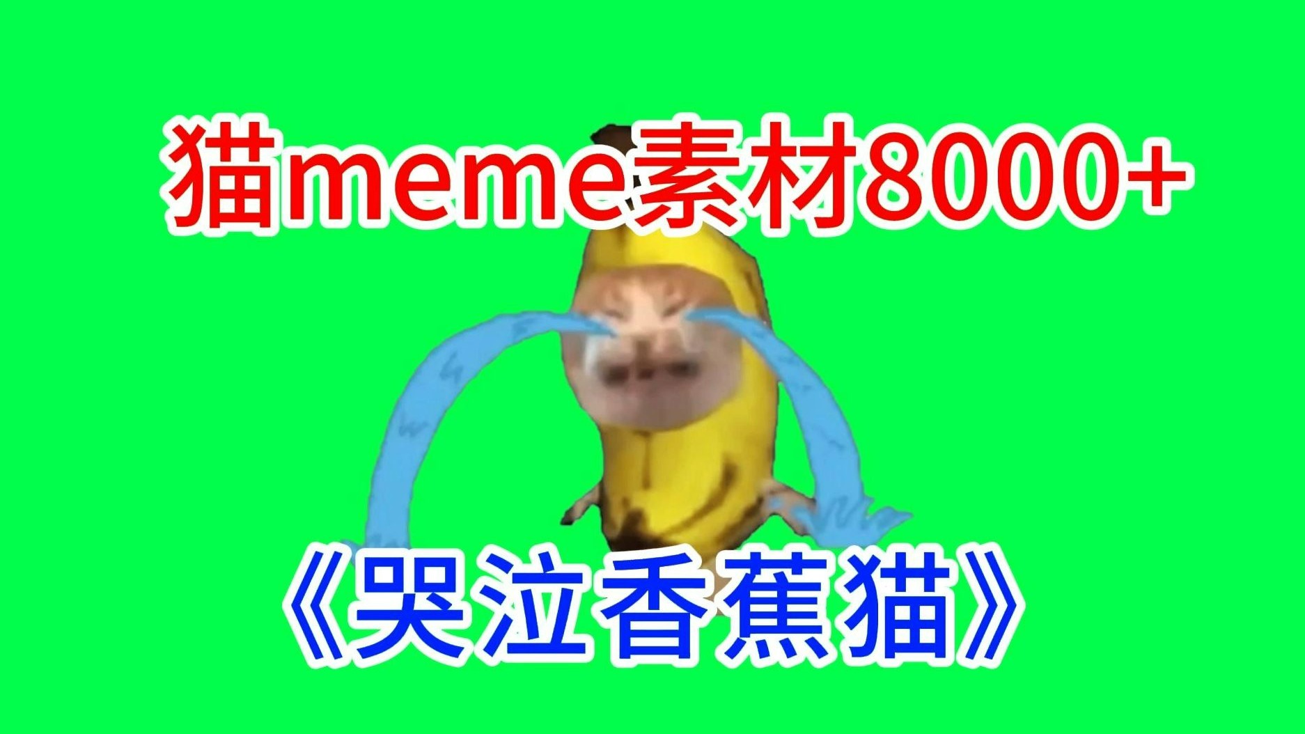 【哭泣香蕉猫！】猫meme绿幕素材完整分享～，猫meme素材整合分享，合集分享！