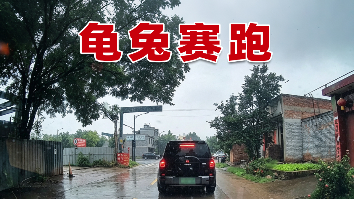 龟兔赛跑👉🏻防御性驾驶