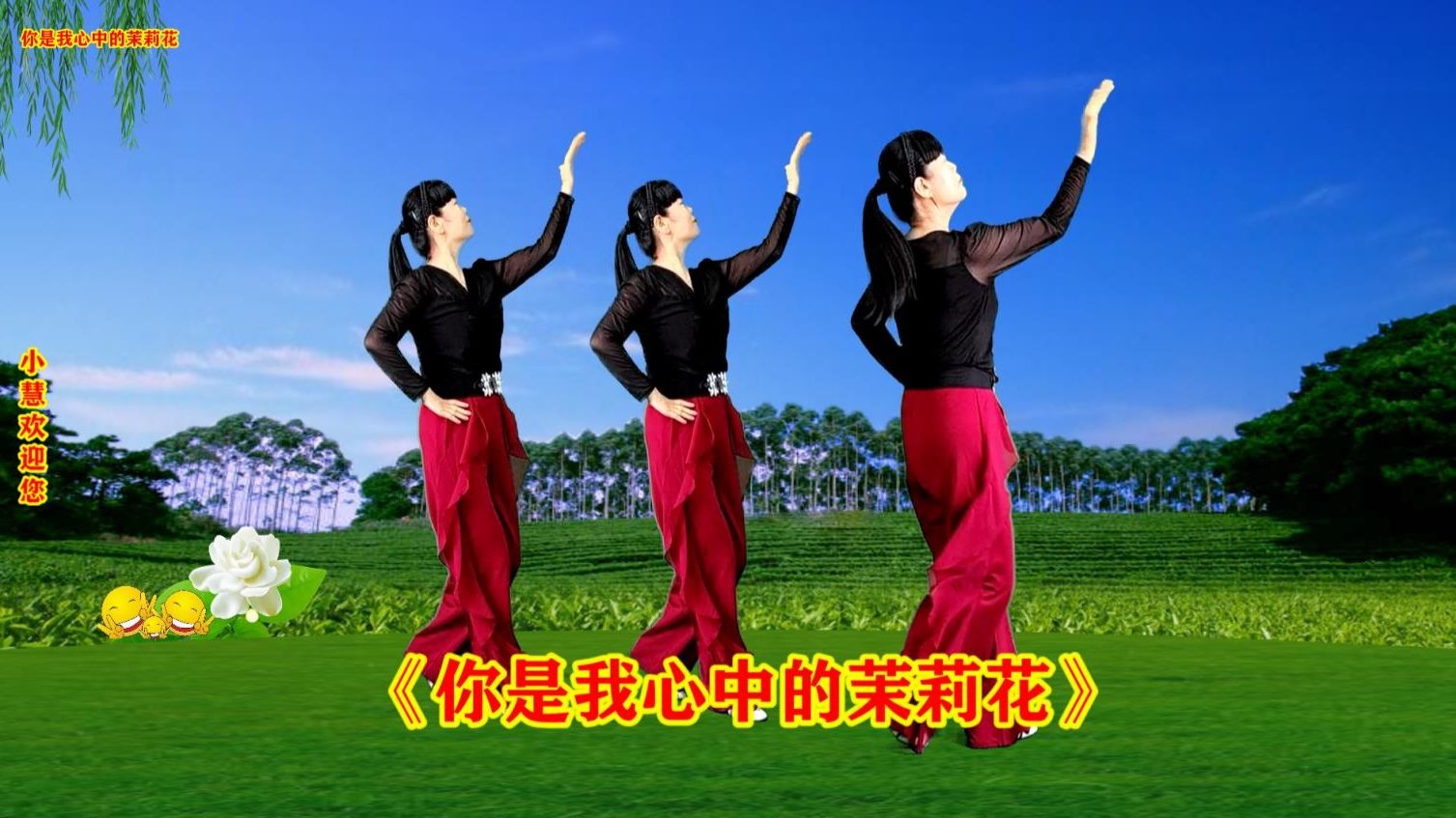 酷美水兵舞《你是我心中的茉莉花》正反演示