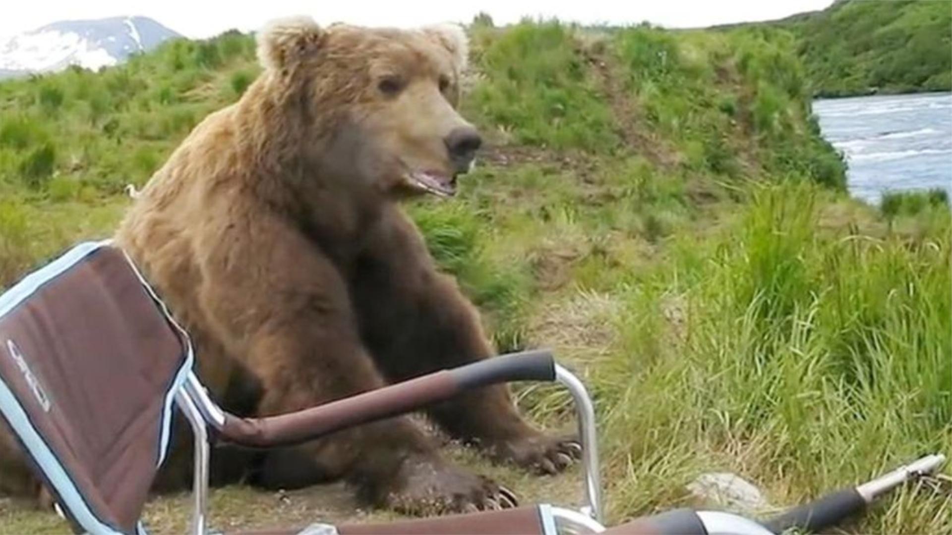 俄罗斯男子钓鱼时，突然来了一只熊，很有礼貌的坐在他旁边等鱼吃