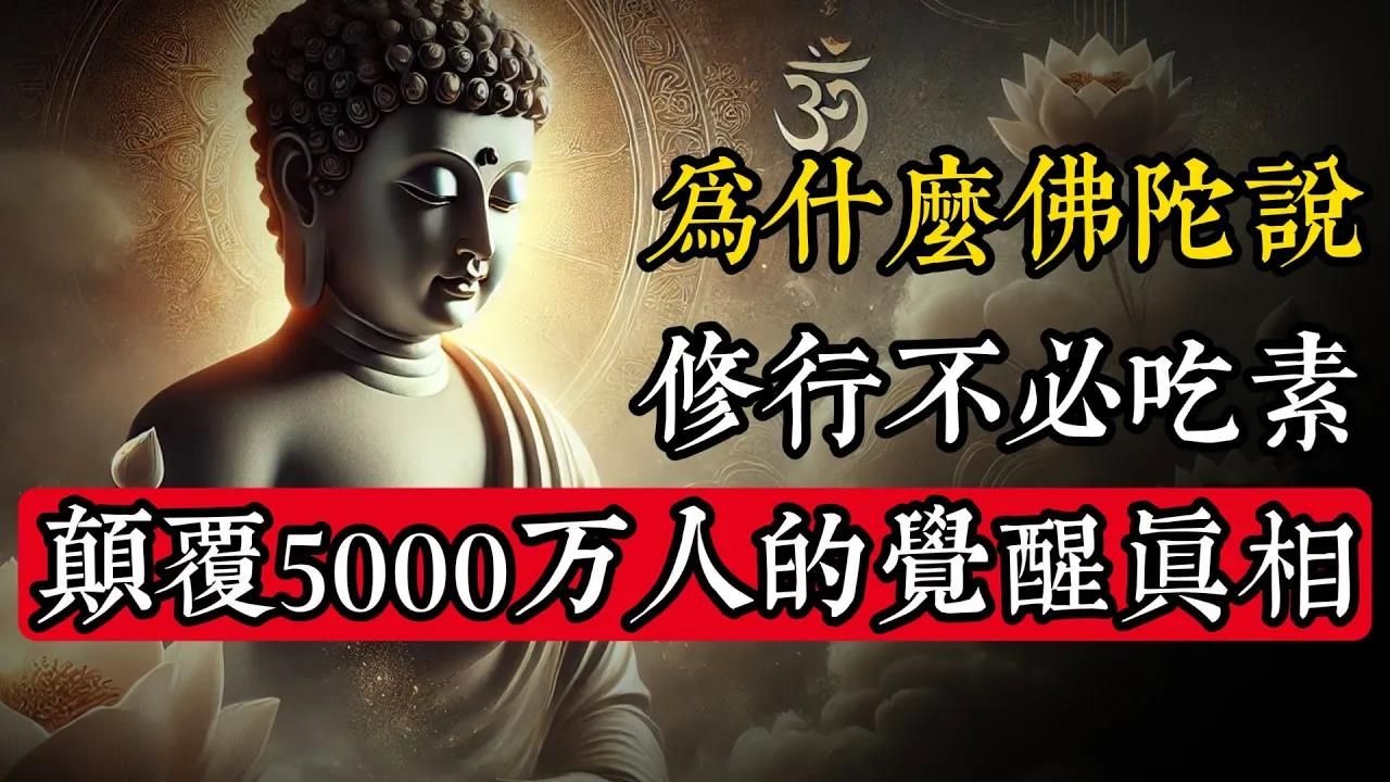 為什麼佛陀說修行不必吃素？顛覆5000萬人認知的覺醒真相_佛教 _佛學知識_修心修行_禪悟人生 _金剛經_南無阿彌陀佛_