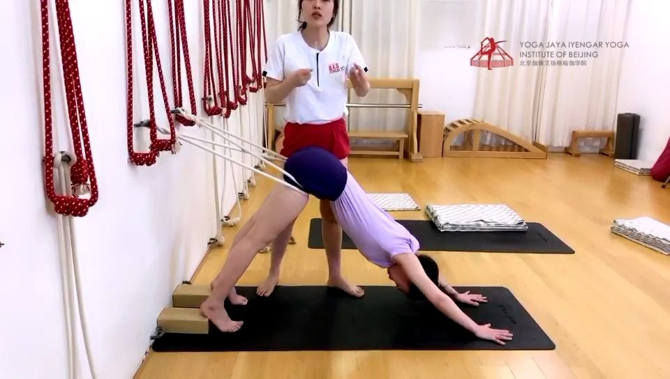 【艾扬格精讲】墙绳上的下犬式如何作用于背痛修复