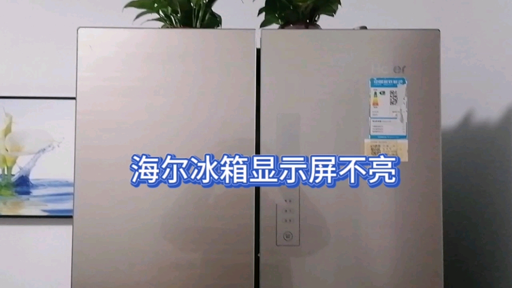 海尔双开门冰箱显示屏不亮！别的工作正常！轻松搞定！
