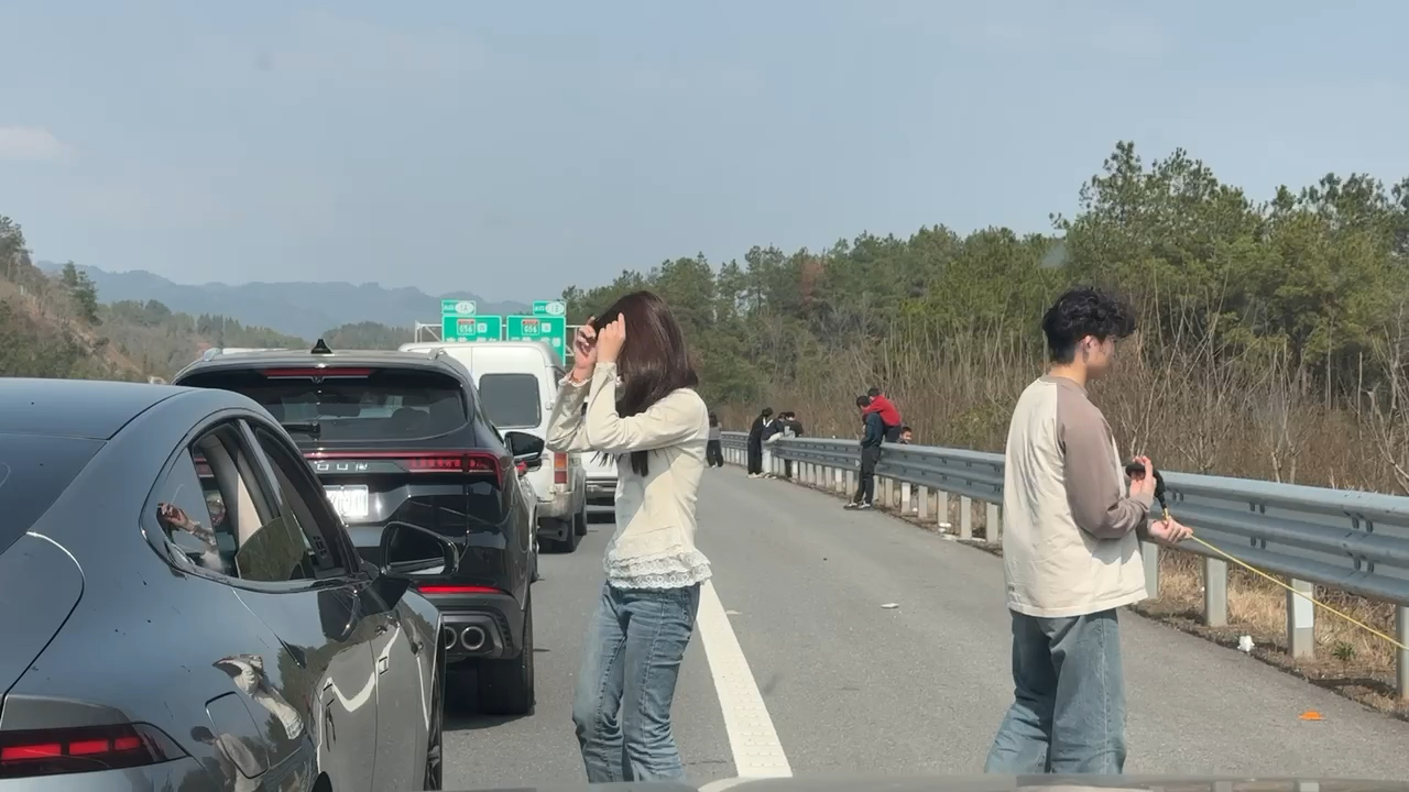 杭瑞高速沅陵段堵到怀疑人生，前面的年轻人已经下来遛狗了
