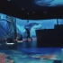 侏罗纪海洋馆沉浸式展。#沉浸式海洋展 #沉浸式 #互动展厅 #海洋生物#科普展