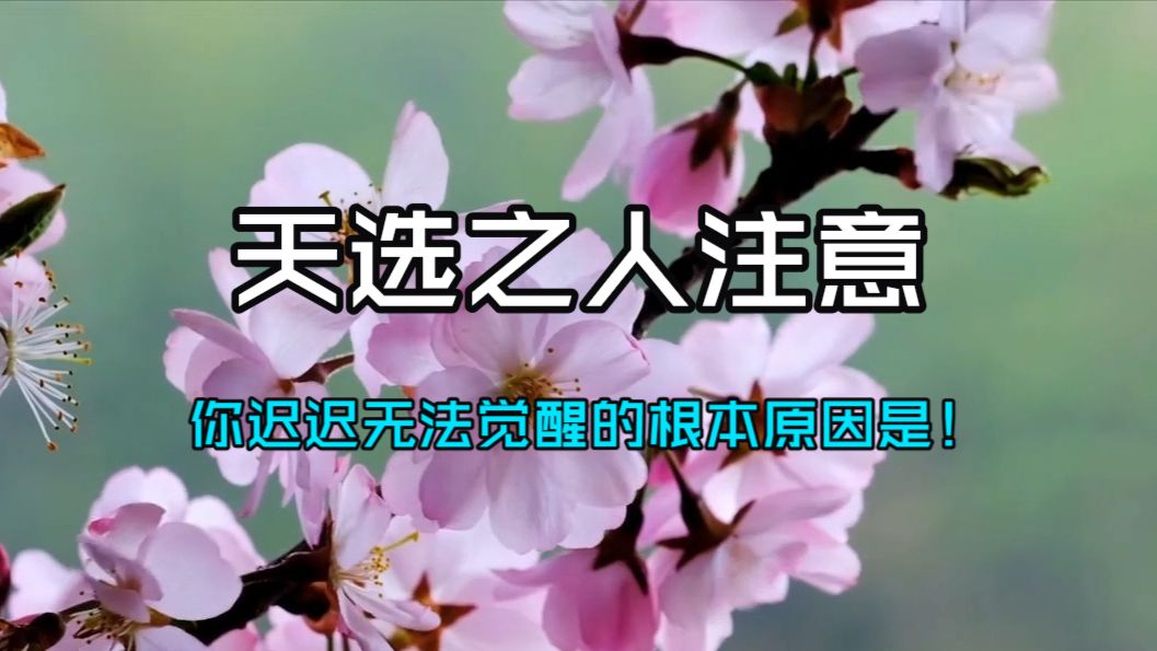 天选之人注意！你迟迟无法觉醒、感受不到灵性召唤，根本原因藏在宇宙的这场特殊试炼之中！