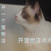 开宠物店难吗？探店采访深圳宠物店！教你如何开一个宠物店  #孙老板的创业说