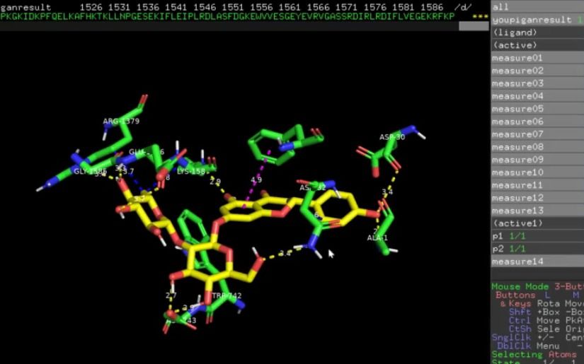 Pymol：使用脚本对蛋白互作结合分析图（蛋白--蛋白对接）