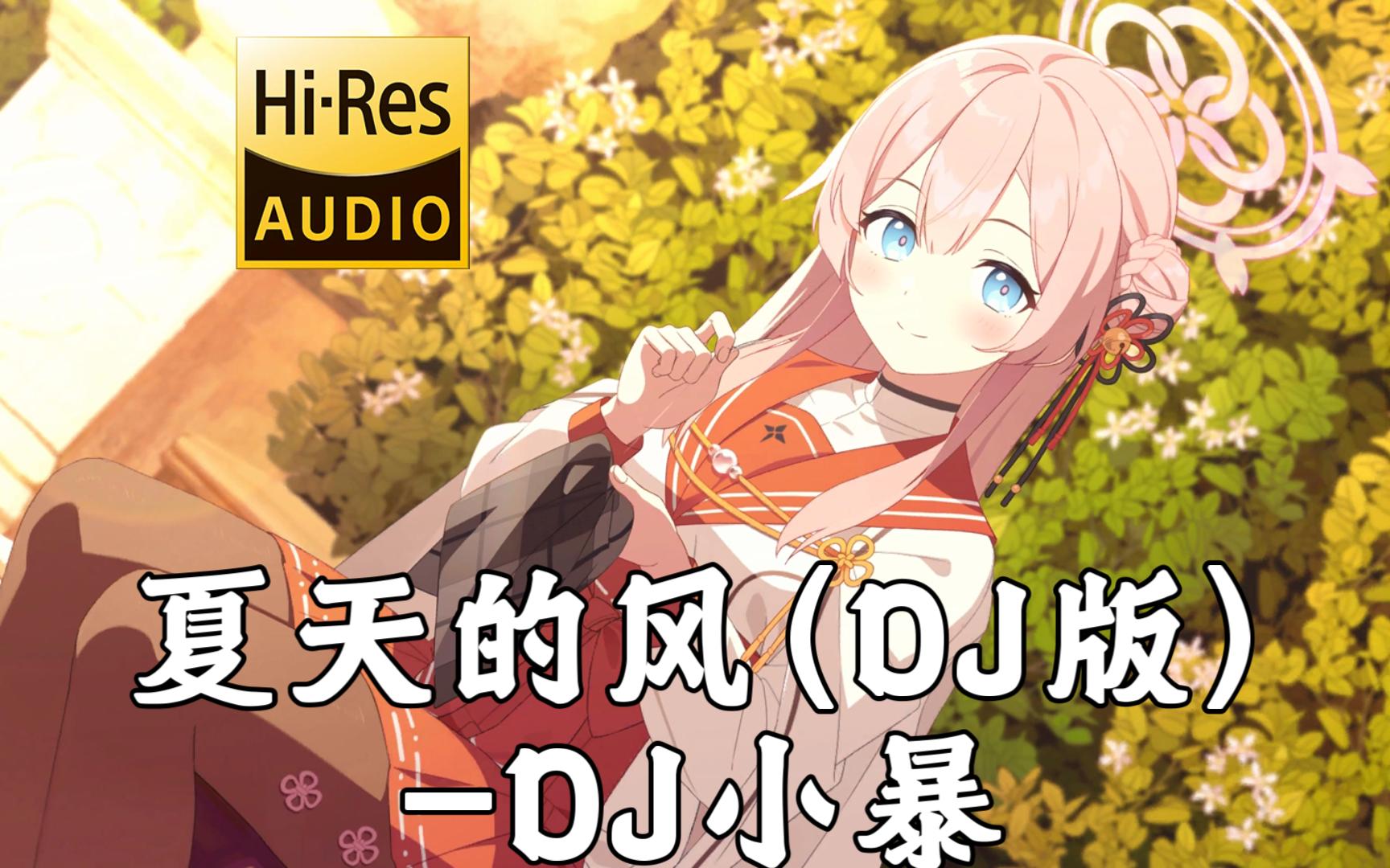 【经典歌曲dj】夏天的风 (坠. DJ版) - DJ小暴「夏天的风 我永远记得」