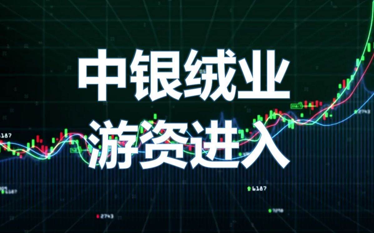 中银绒业:游资进入哔哩哔哩bilibili