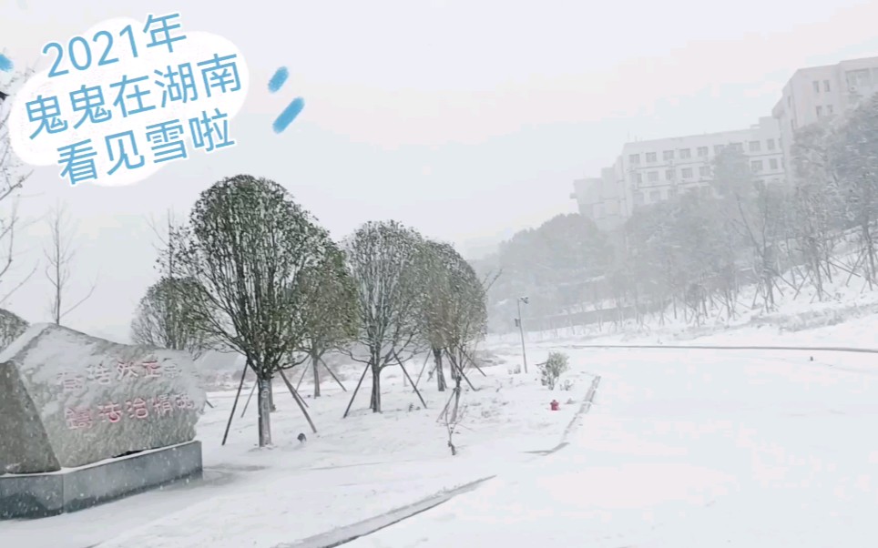 罕见！湖南下雪啦！北方汉子时隔一年多看见雪好激动～2021年 鬼鬼在湖南看见雪了～
