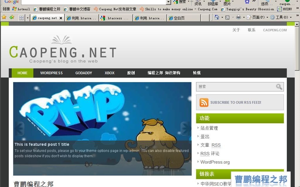 wordpress全套教程价值2000元【现在任然实用】哔哩哔哩bilibili