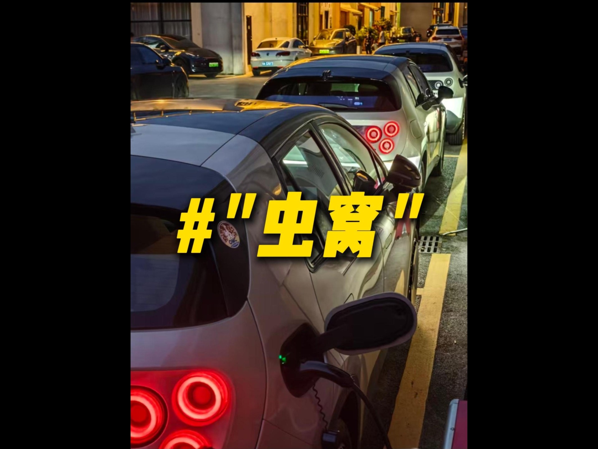 公司的“虫子”越来越多了~