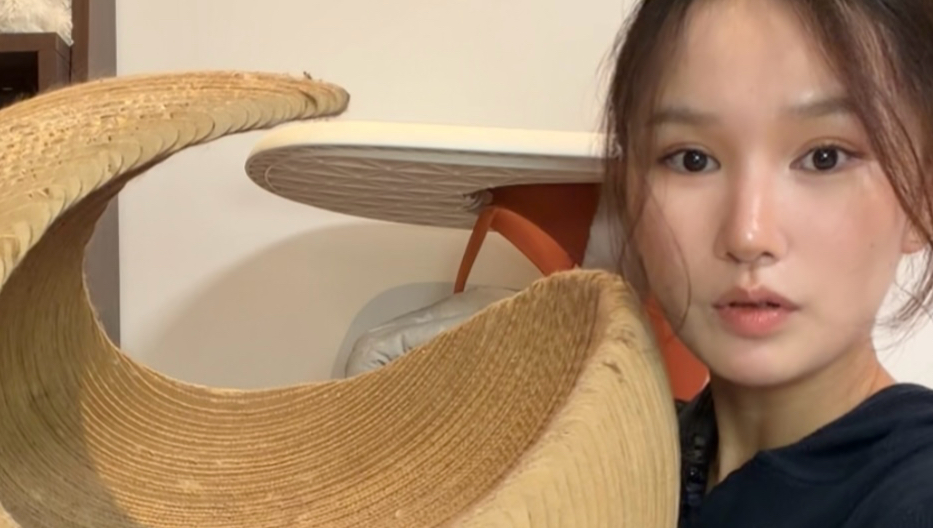 猫抓板测评/原来歪脖子一直以为自己是个小宝宝