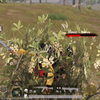 草死boss