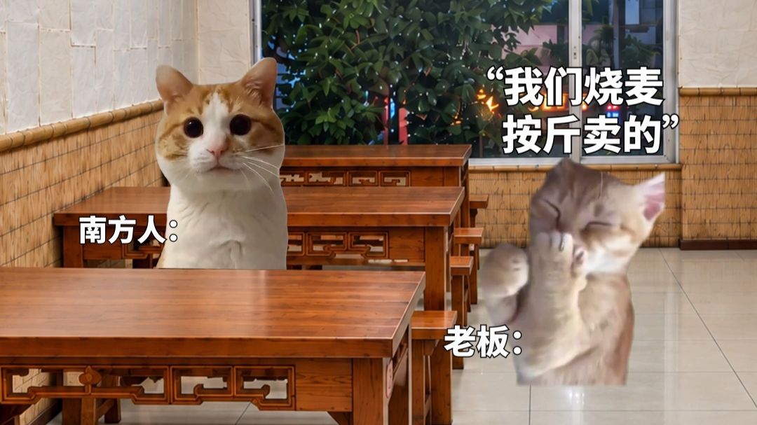 当南方人第一次到内蒙古吃烧卖