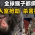 全球猴子都疯了？日本猕猴连环入室行凶，印度野猴抢走杀害婴儿