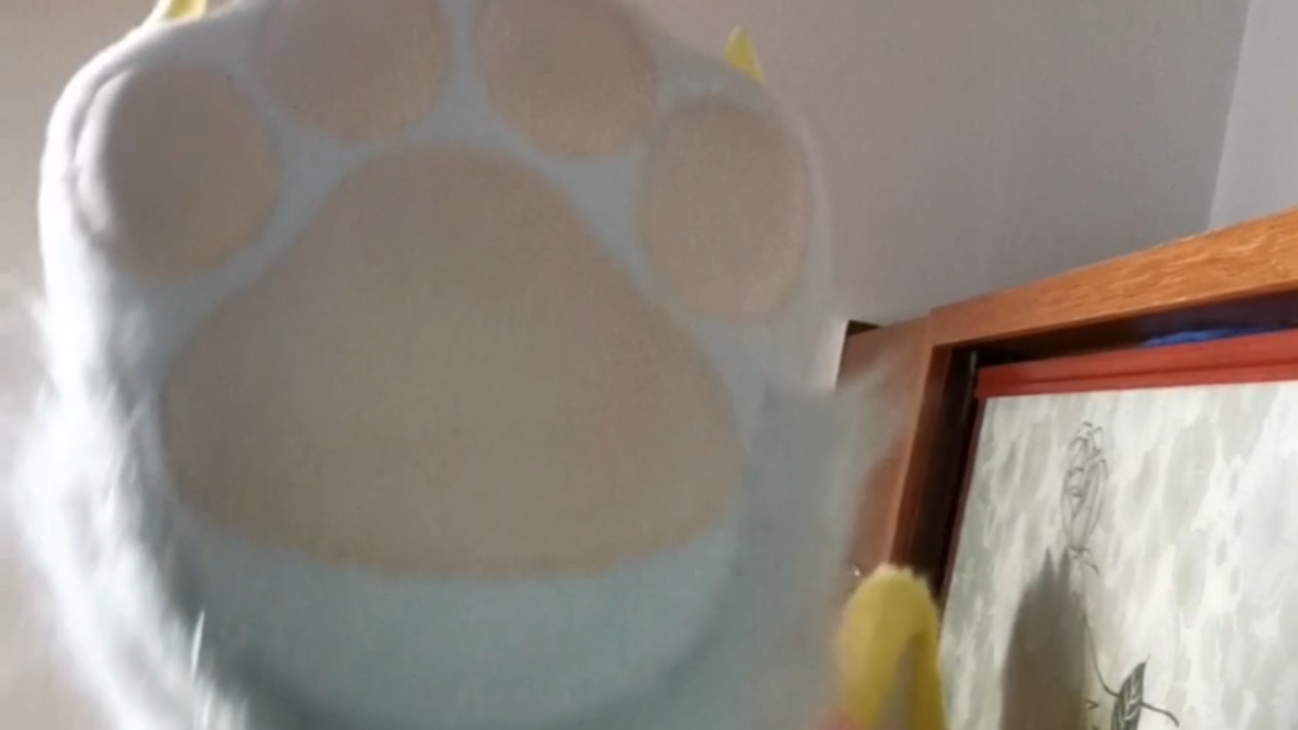 狐狐想好好关爱你～