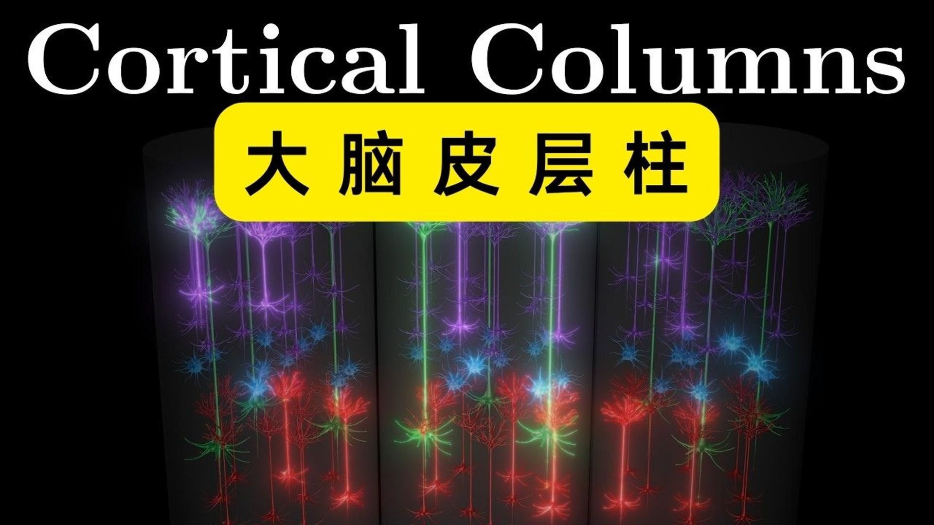 字幕下载