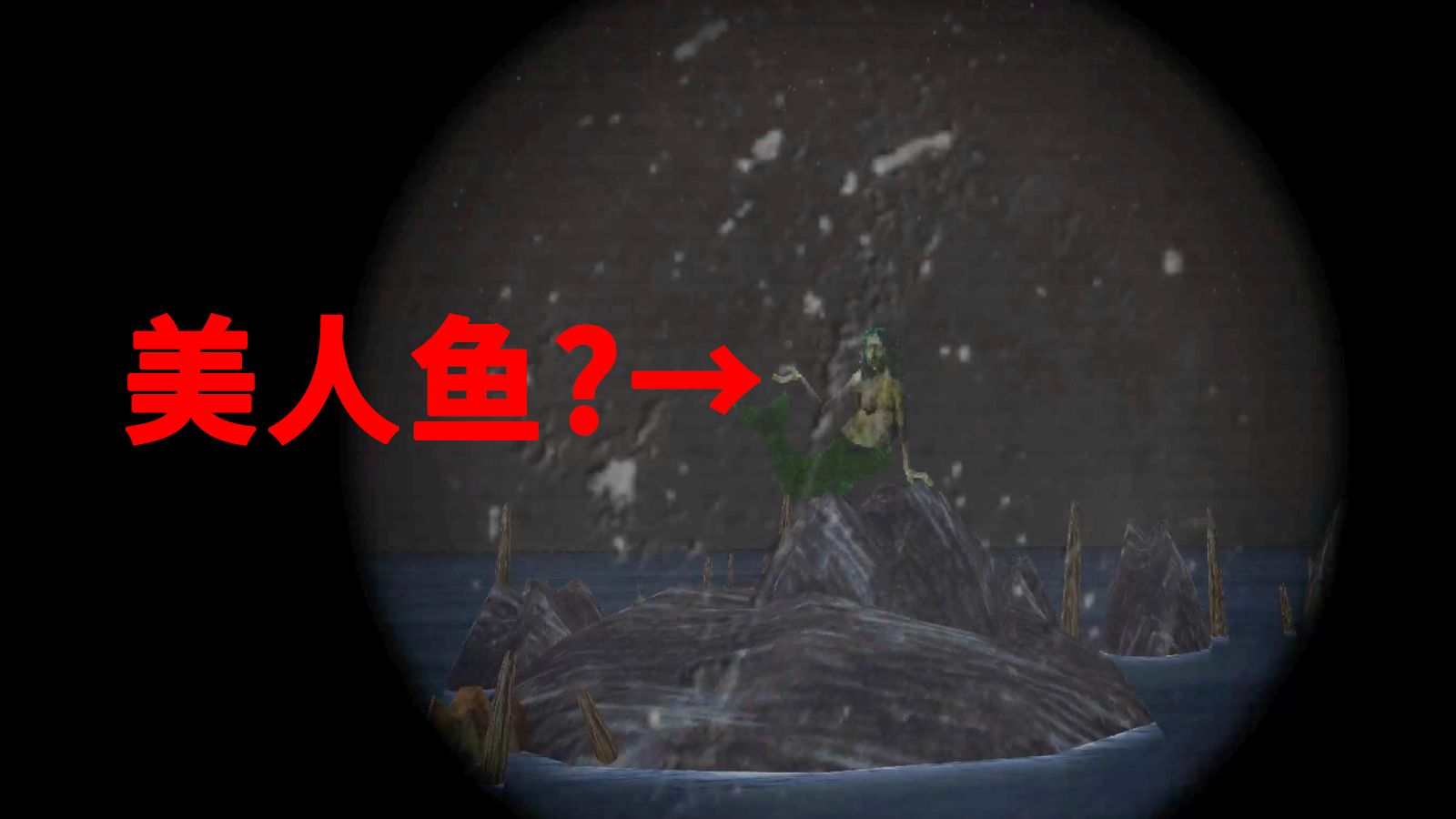 这是一只美人鱼，你敢和她直视10秒吗？