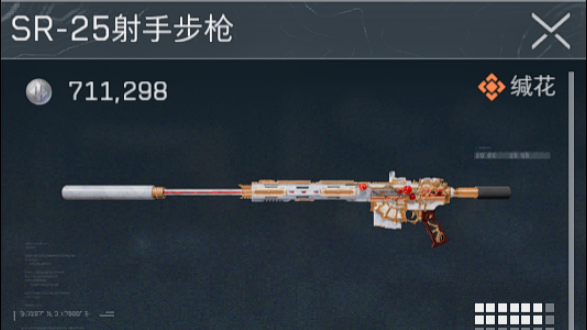 这把SR25一看就有力气