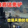 7月12日 我看这秃驴也是风韵犹存！_第一视角