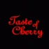 【影视回顾】樱桃的滋味 Taste of Cherry (1997) Extras【波斯语】