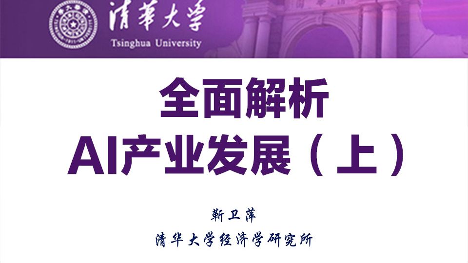 中美AI经济大比拼，普通人的生活将被如何重塑？【清华大学靳卫萍】