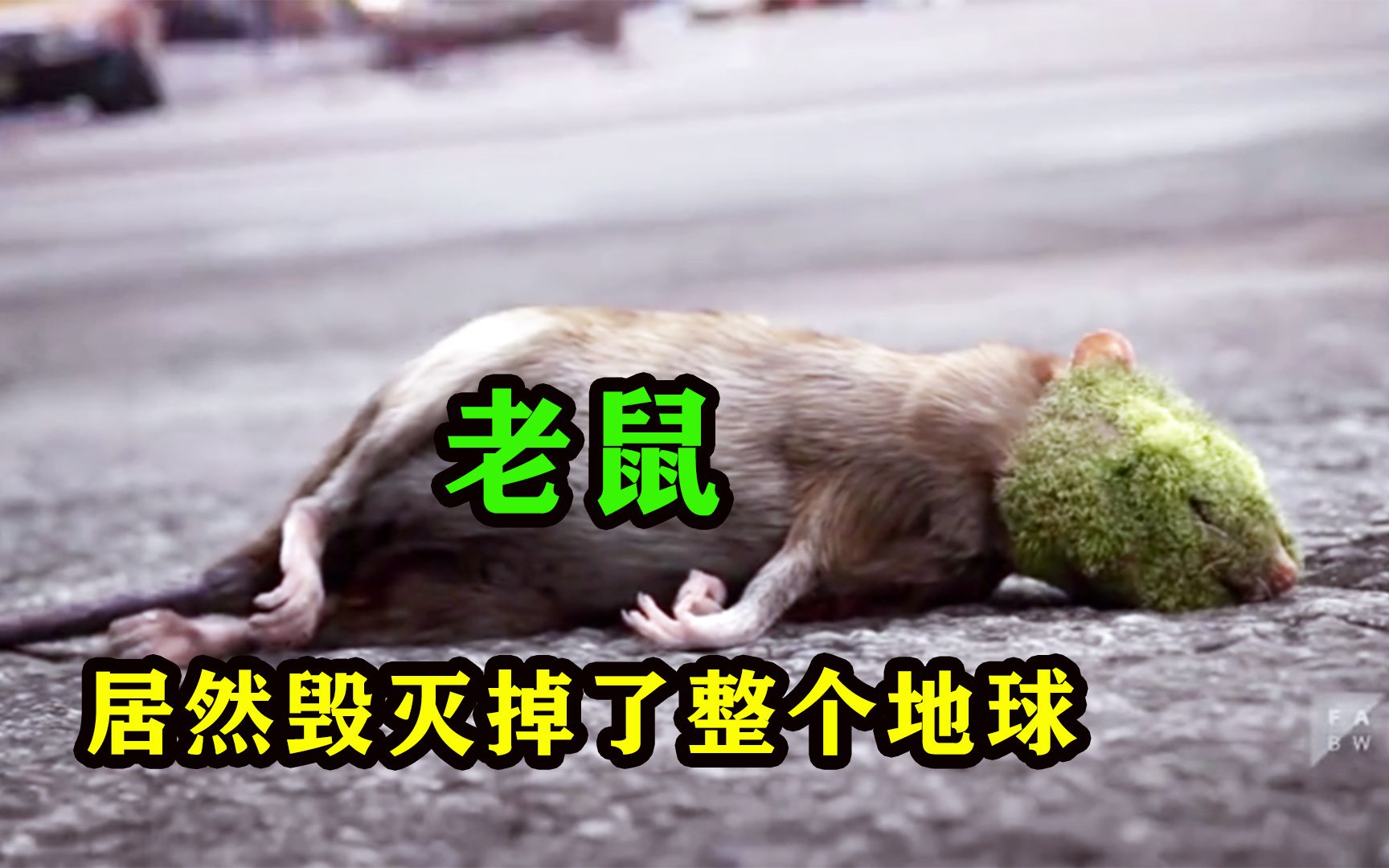 一只老鼠居然可以毁灭整个地球，奇幻动画短片