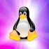 Linux内核分析