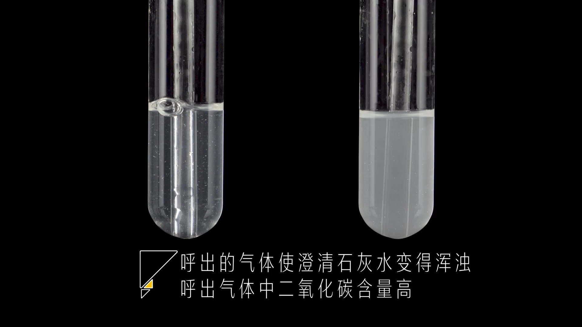 初中化学实验4：吸入、呼出气体成分探究