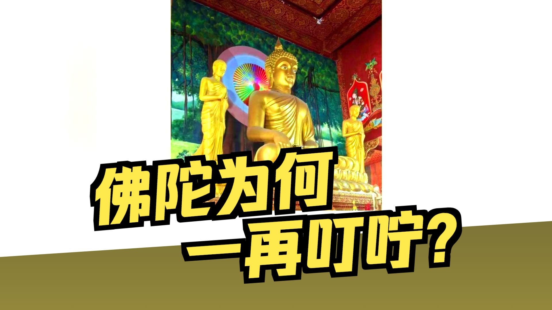 体佛法师开示：苦口婆心