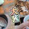 东北大酱制作全过程 | 农历四月二十九，刷酱块，下大酱，和俺奶学习的比例方法，中间发酵过两次，历时一个月，美味大酱即成！身在异乡也缺少不了这家乡的味道