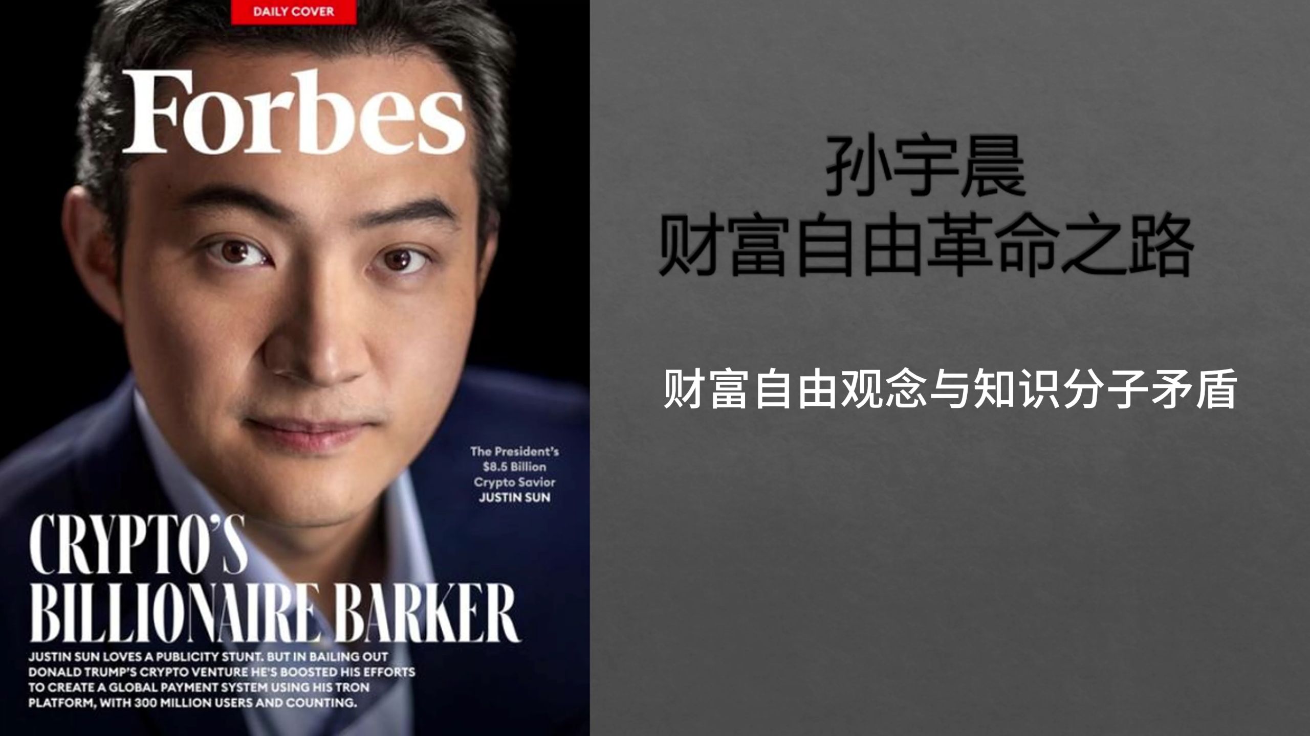 孙宇晨财富自由革命之路014财富自由观念与知识分子