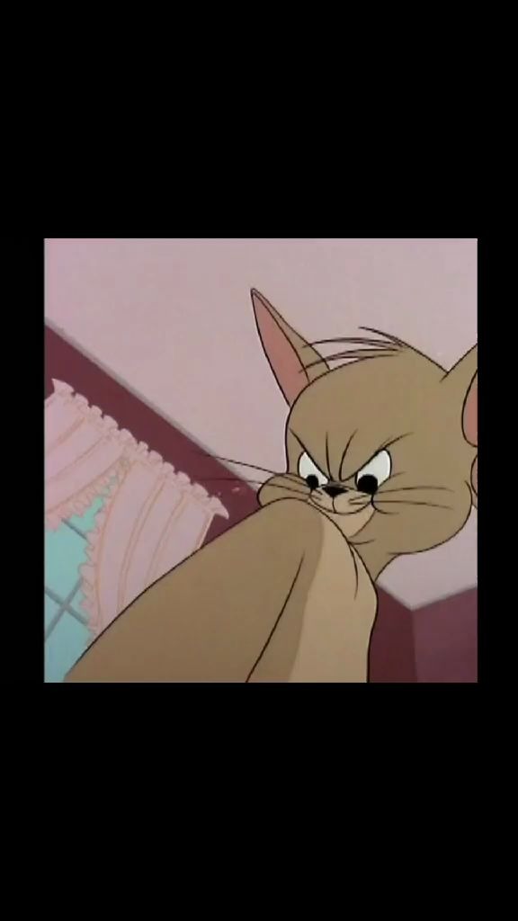 汤姆抓到了 搞笑片段 哔哩哔哩 つロ干杯 Bilibili