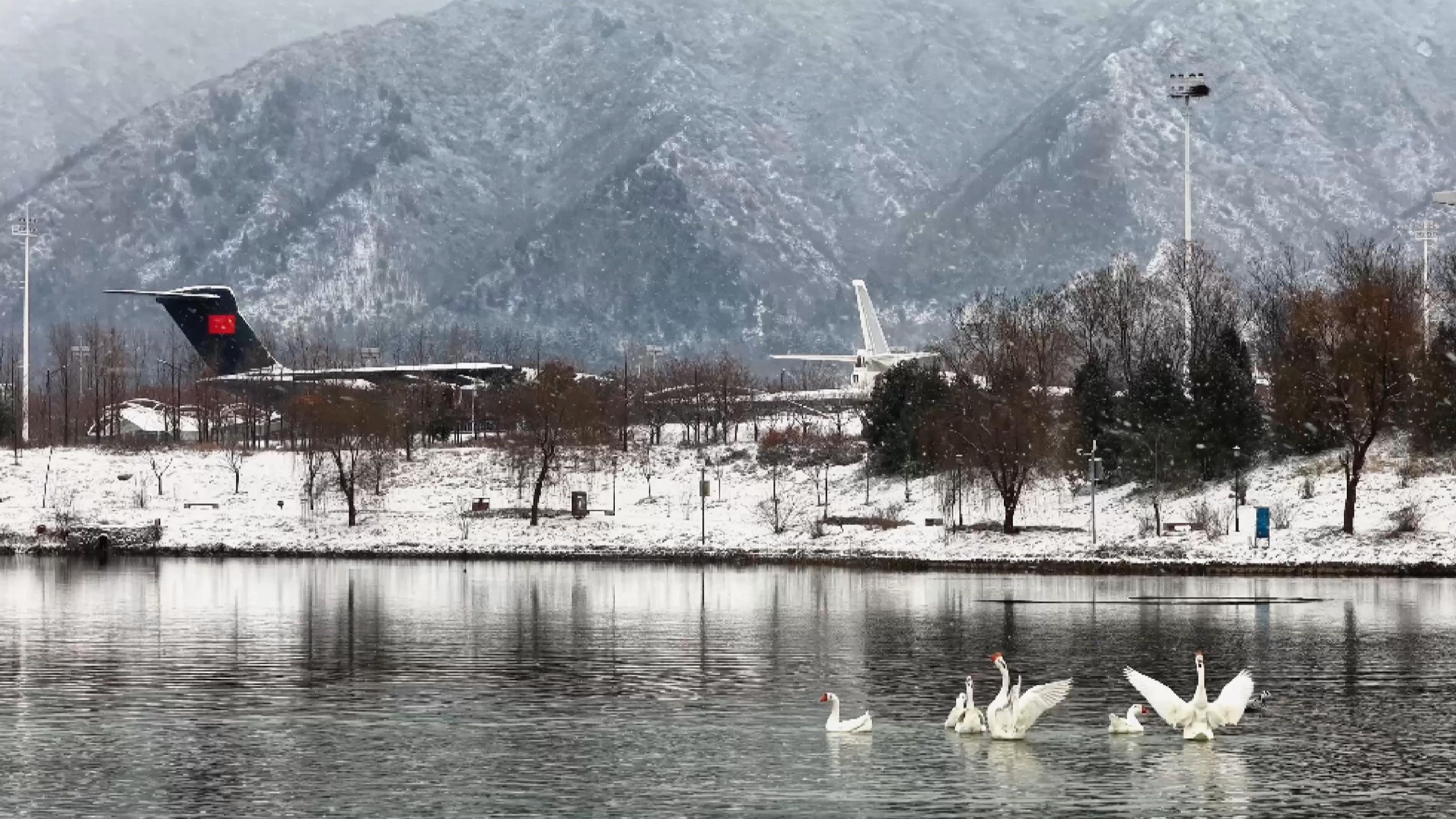 大寒：水泽腹坚、征鸟厉疾