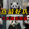 盘点最好认的6只“国宝”大熊猫，每一只都独具特色，你认识哪几只