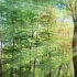 2020.09.21[油画] 风景树木