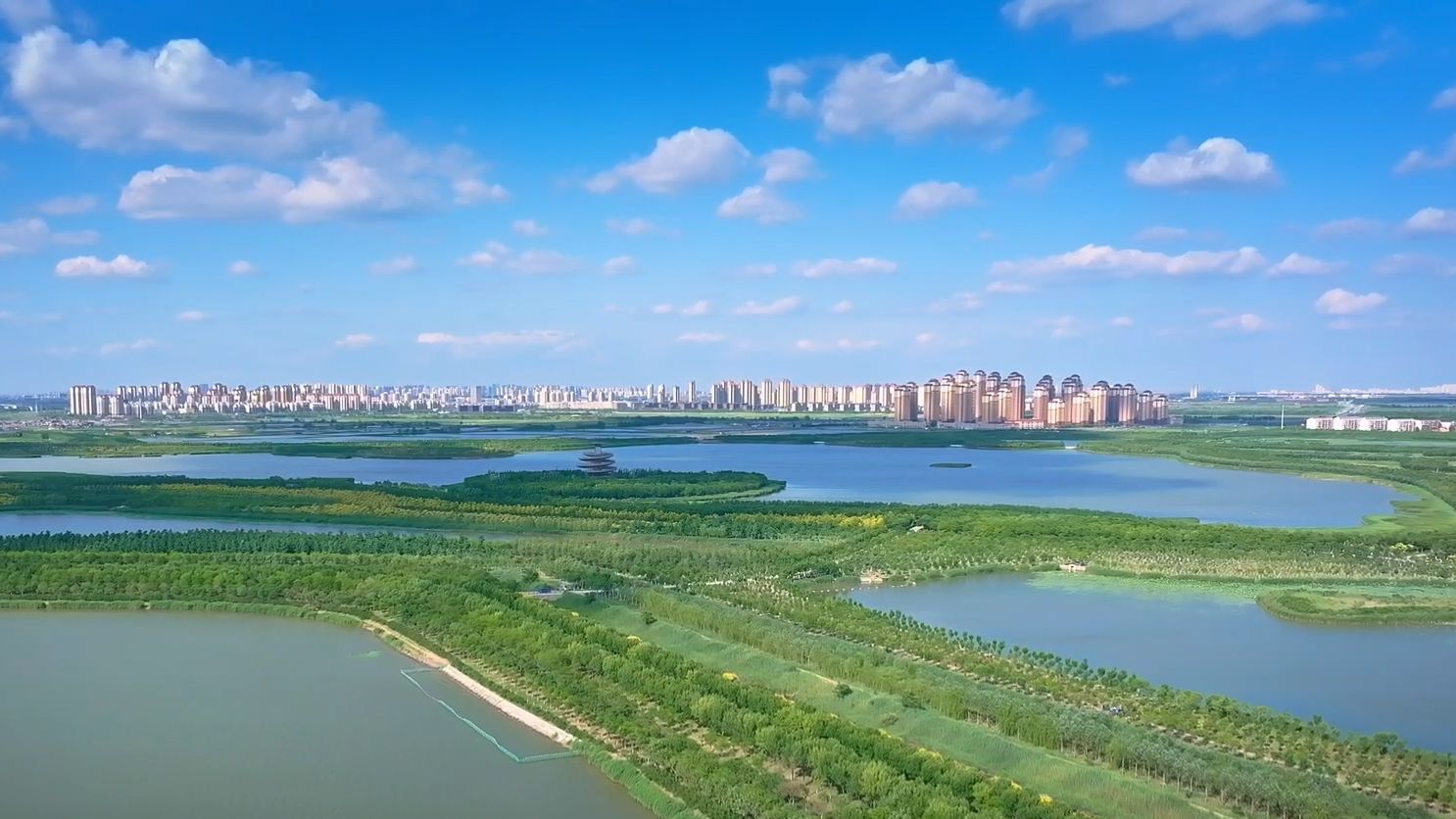 津秋Qu哪玩儿丨行走津南——稻浪为笔，绿意为墨，将每个平凡的日子，酿成值得珍藏的浪漫时光