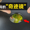 不可思议的“奇迹镜”，用手指戳戳青蛙，有趣的现象发生了