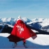 【碰碰Vlog】阿尔卑斯山滑雪