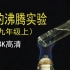 【人教版】【4k高清】九年级化学实验 水的沸腾